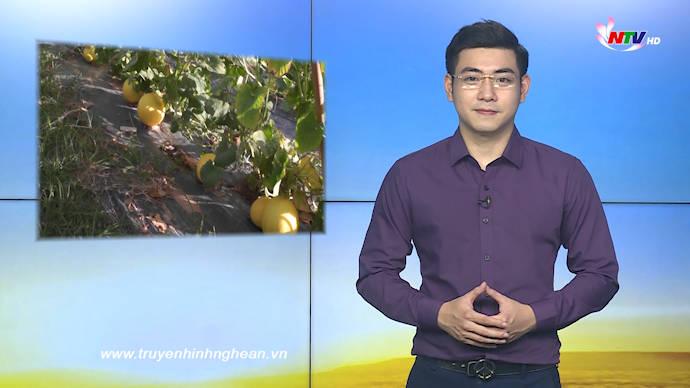 Nghệ An ngày mới - 23/6/2020