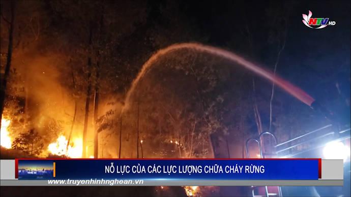 Nỗ lực của các lực lượng chữa cháy rừng