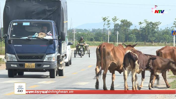 Bản tin An toàn giao thông - 10/06/2021
