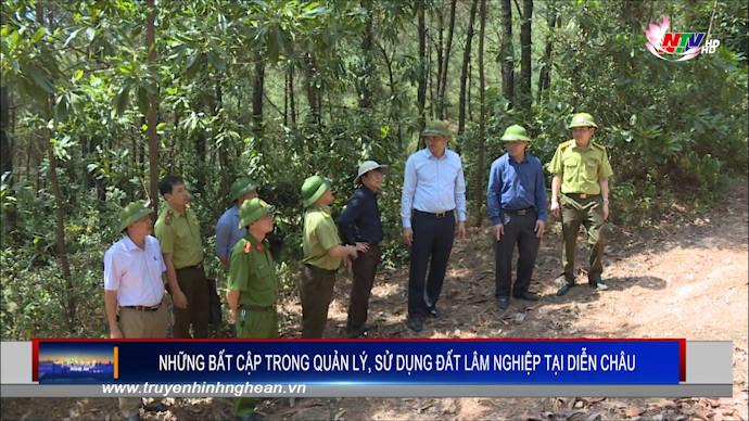 Những bất cập trong quản lý, sử dụng đất lâm nghiệp tại Diễn Châu