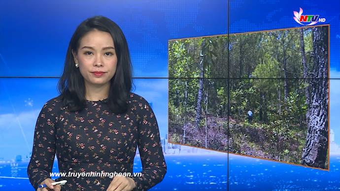 Thời sự Truyền hình - 02/7/2020