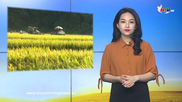 Nghệ An ngày mới - 10/7/2020