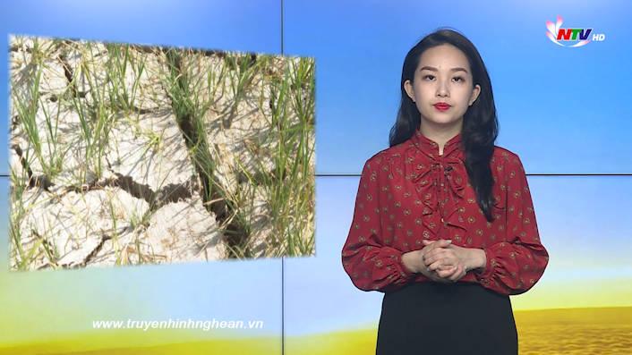 Nghệ An ngày mới - 19/7/2020