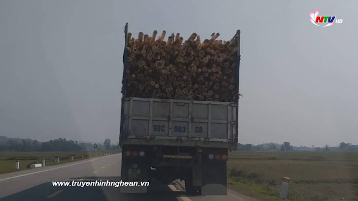 Bản tin An toàn giao thông - 28/7/2020