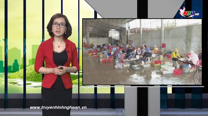 Nghệ An ngày mới - 25/07/2021