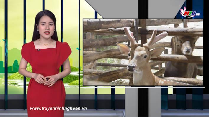 Nghệ An ngày mới - 01/08/2021