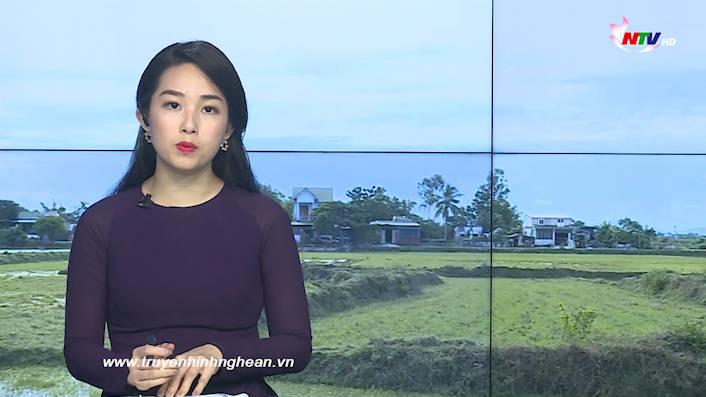 Thời sự Truyền hình - 13/8/2020