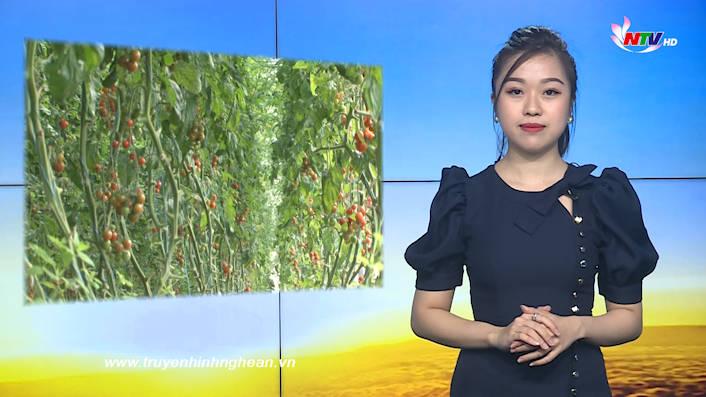 Nghệ An ngày mới - 23/8/2020