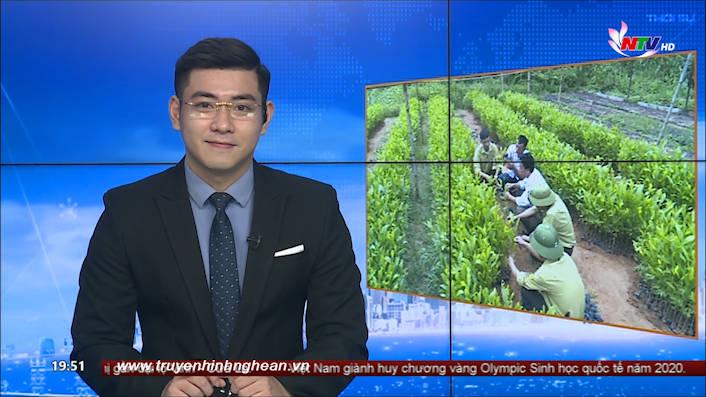 Thời sự Truyền hình - 25/8/2020