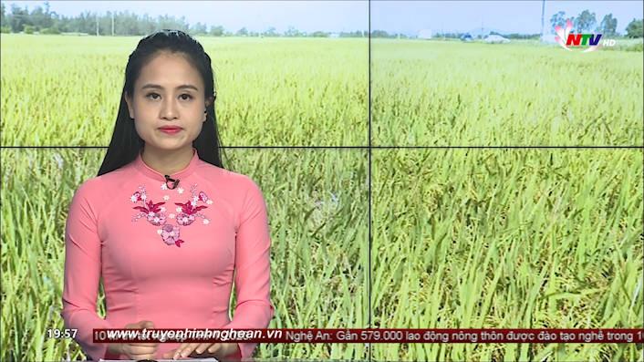 Thời sự Truyền hình - 27/8/2020