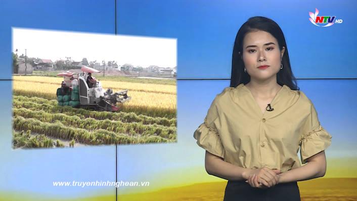 Nghệ An ngày mới - 28/8/2020