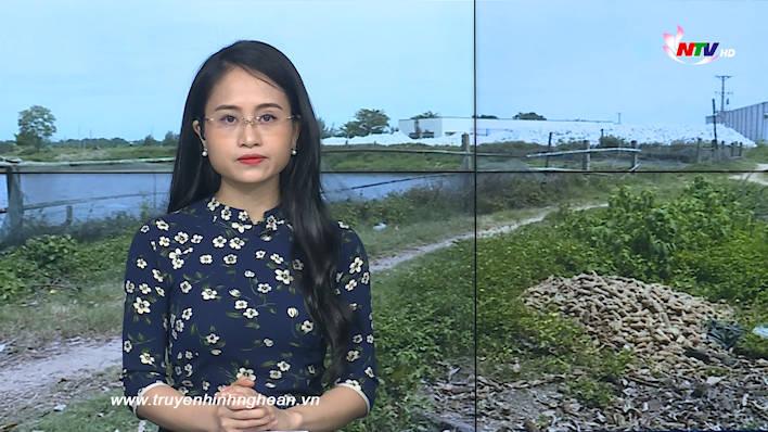 Thời sự Truyền hình tối - 12/8/2021