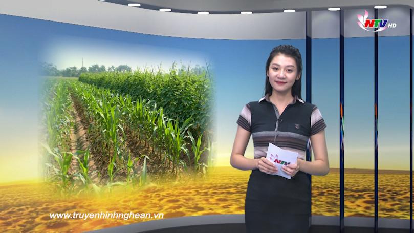 Nghệ An ngày mới – 29/9/2019