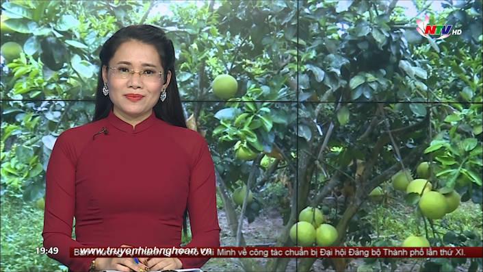 Thời sự Truyền hình - 03/9/2020