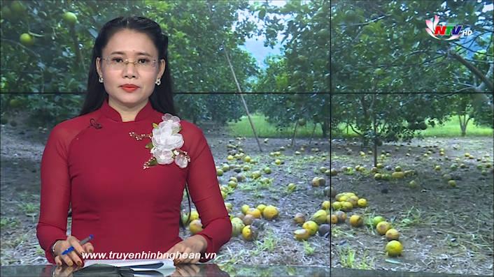 Thời sự Truyền hình - 21/9/2020