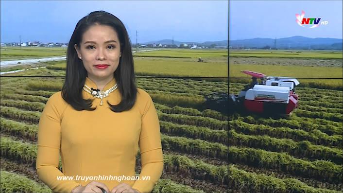 Thời sự Truyền hình - 03/10/2020