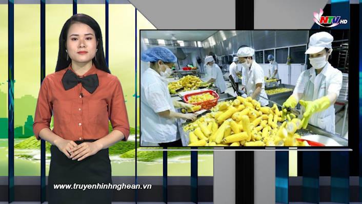 Nghệ An ngày mới - 07/10/2020