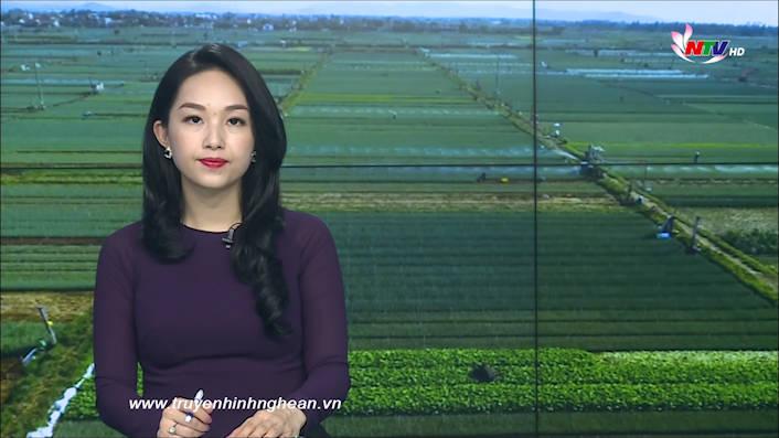 Thời sự Truyền hình - 08/10/2020