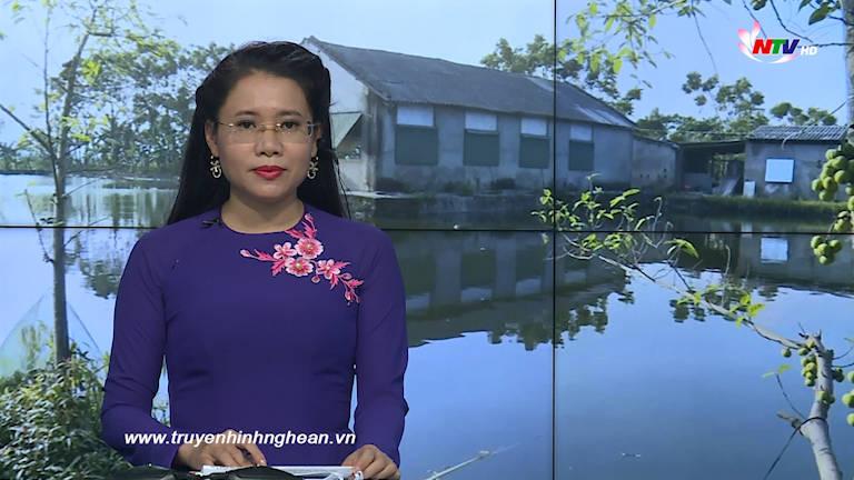 Thời sự Truyền hình - 01/11/2019