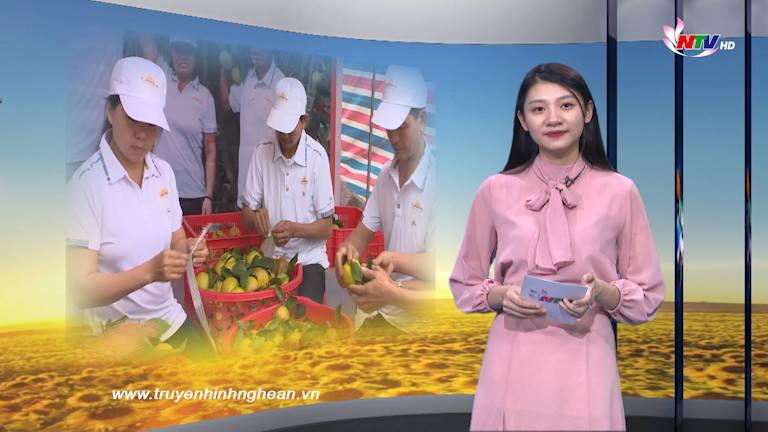 Nghệ An ngày mới - 03/11/2019