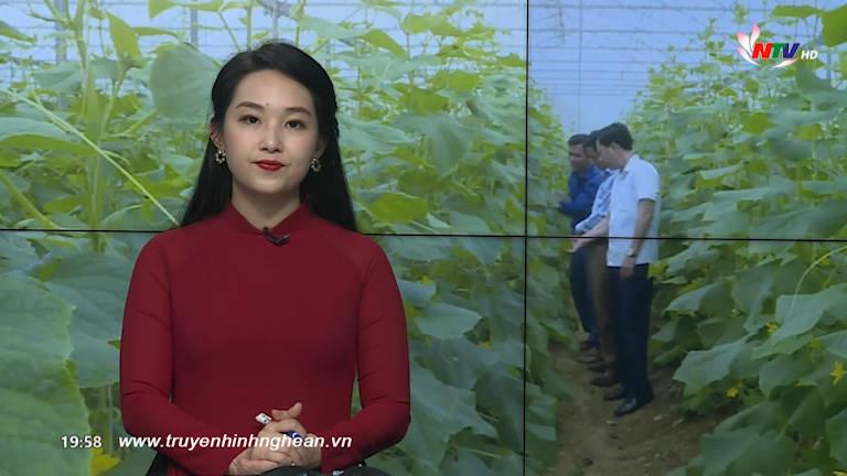 Thời sự Truyền hình - 11/11/2019