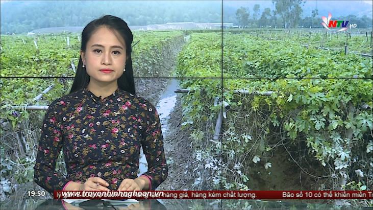 Thời sự Truyền hình - 03/11/2020