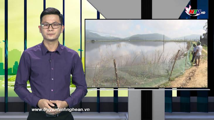 Nghệ An ngày mới - 22/11/2020