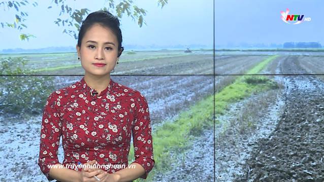 Thời sự Truyền hình - 05/12/2020