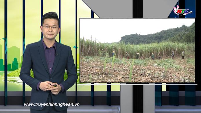 Nghệ An ngày mới - 16/12/2020