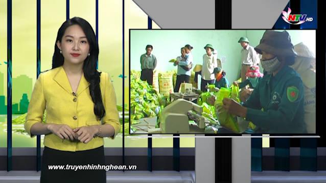 Nghệ An ngày mới - 16/12/2020