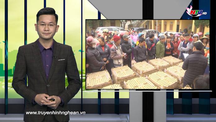 Nghệ An ngày mới - 24/12/2020