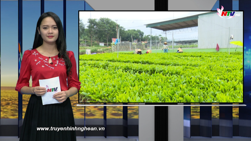 Nghệ An ngày mới - 04/01/2019