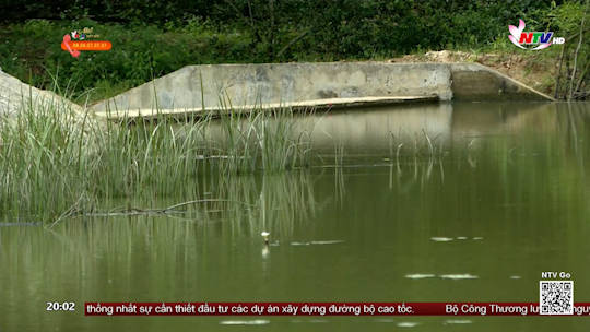Nghi Lộc: Ô nhiễm nguồn nước Đập Bị, xã Nghi Công Bắc