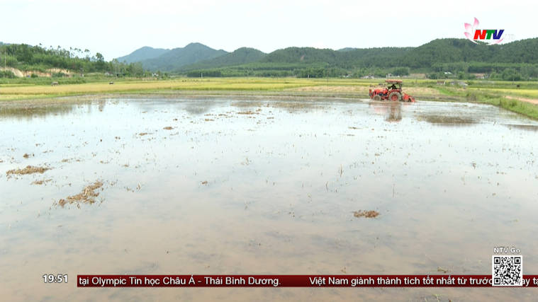 Giá VTNN tăng cao ảnh hưởng đến sản xuất vụ hè thu