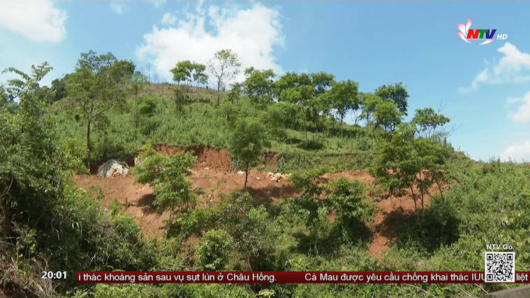 Quế Phong: Nguy cơ tái diễn khai thác thạch anh trái phép tại xã Quang Phong