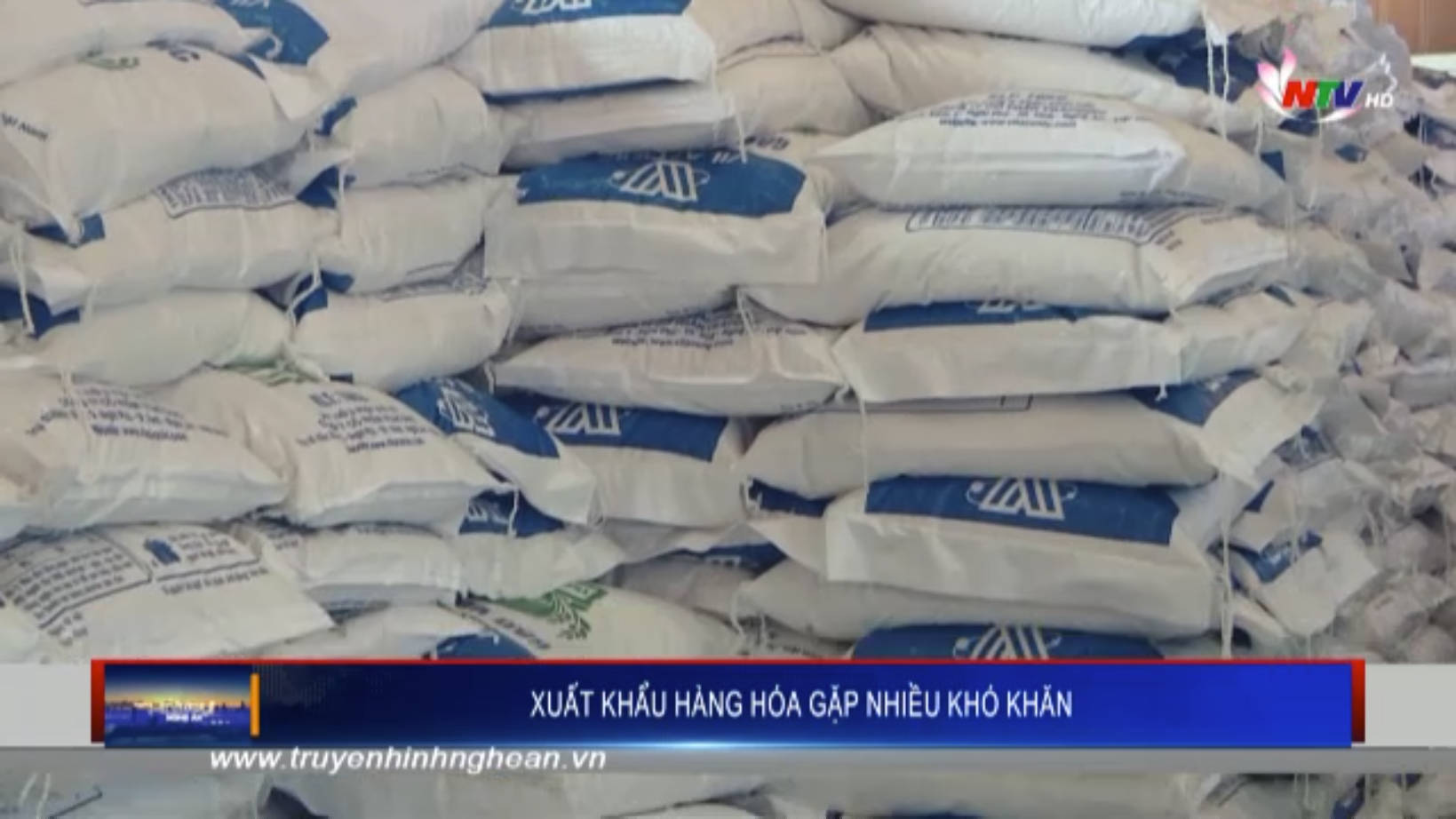 Xuất khẩu hàng hóa gặp nhiều khó khăn