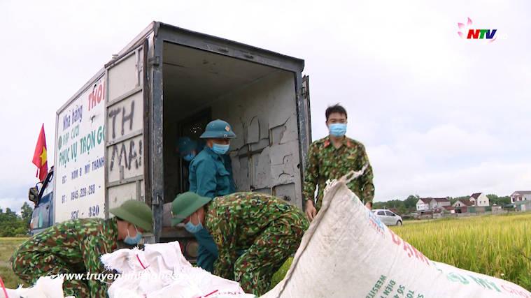 Hỗ trợ nông dân thu hoạch lúa trong thời gian cách ly xã hội