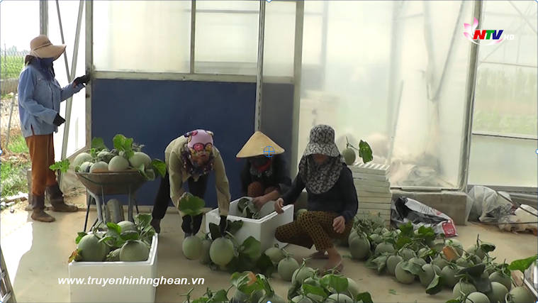 Ứng dụng công nghệ 4.0 để tiêu thụ nông sản