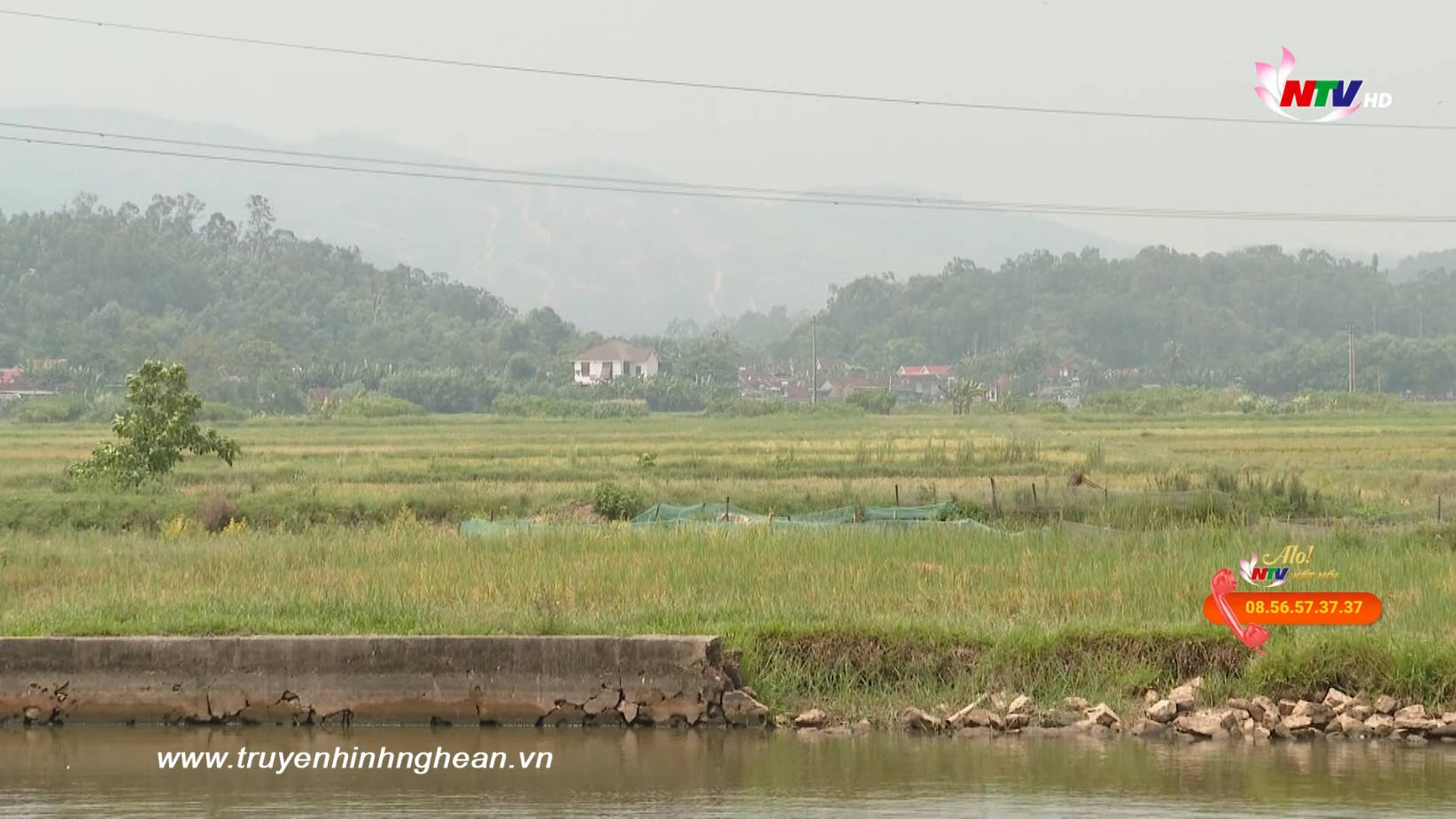 Người dân kiến nghị thu hồi diện tích đất còn lại khó sản xuất sau khi giải phóng mặt bằng