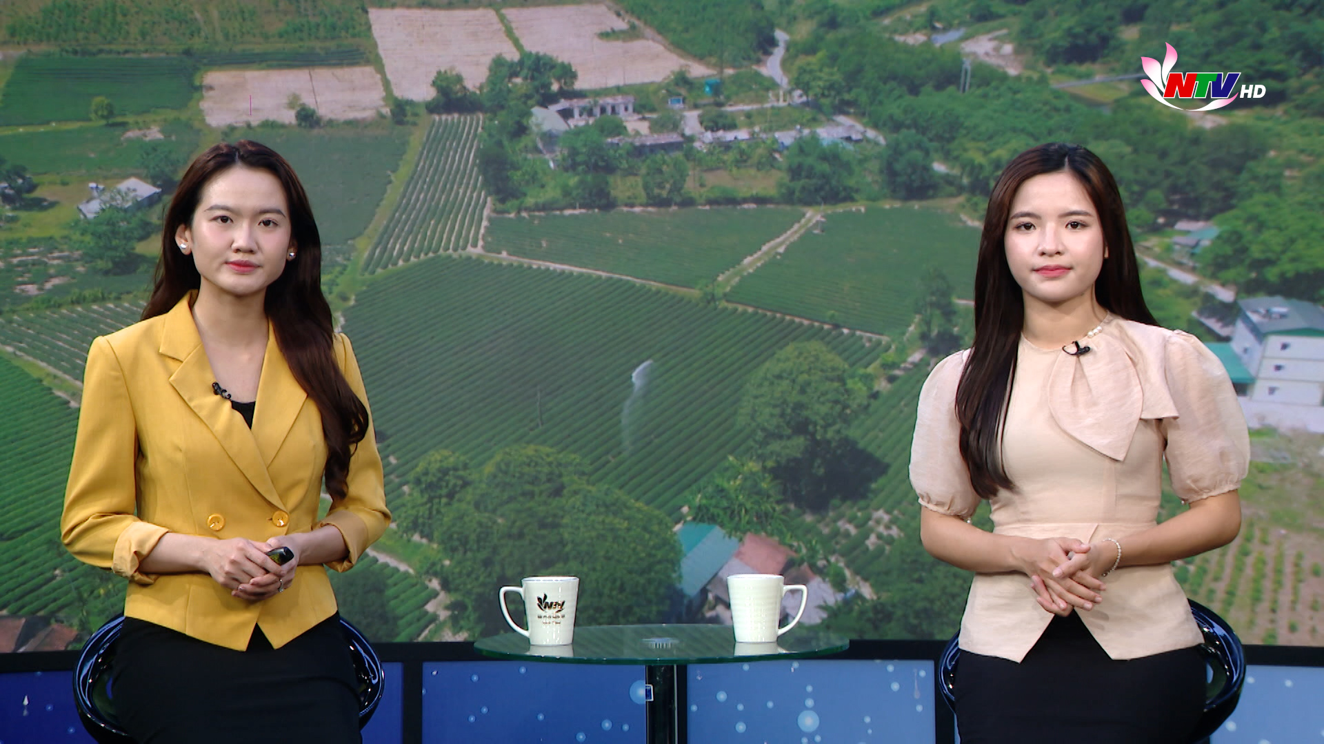 Nghệ An ngày mới  - 01/03/2026