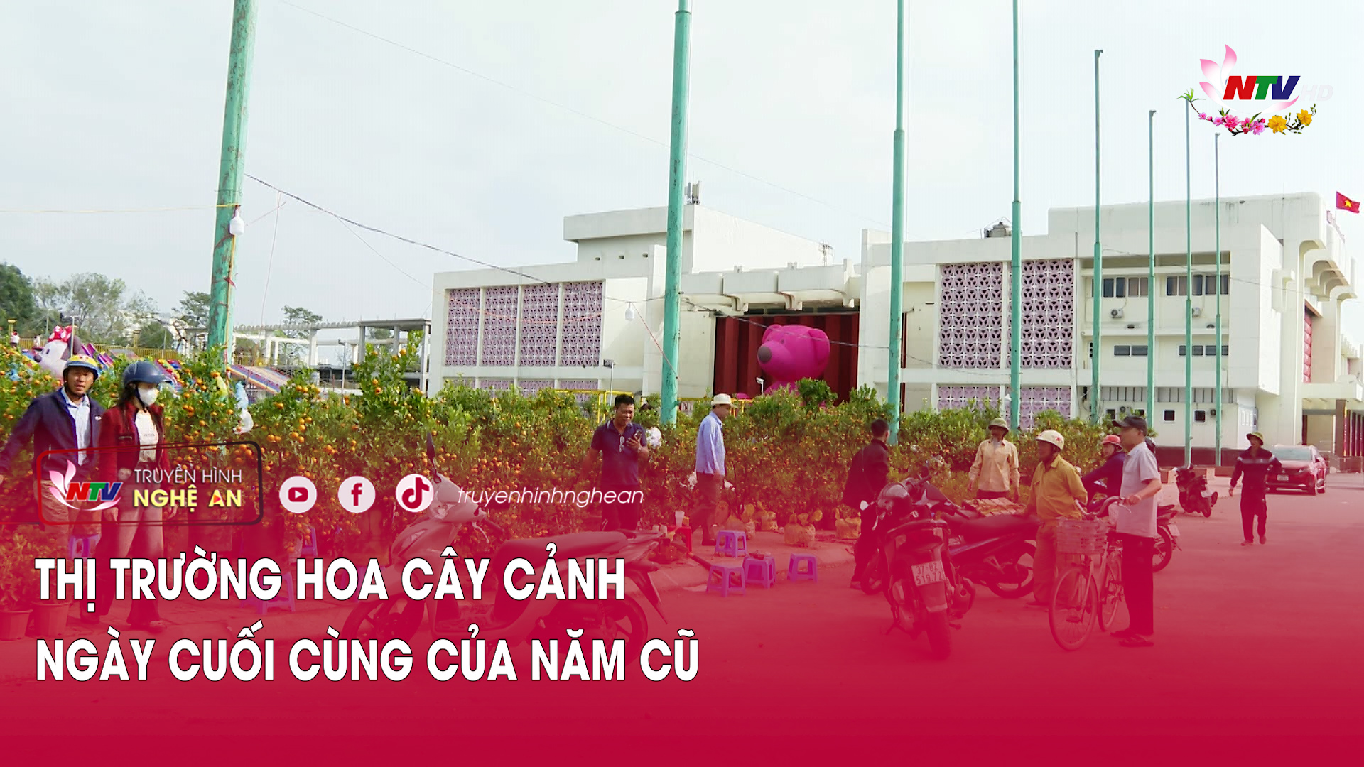 Thị trường hoa cây cảnh ngày cuối cùng của năm cũ