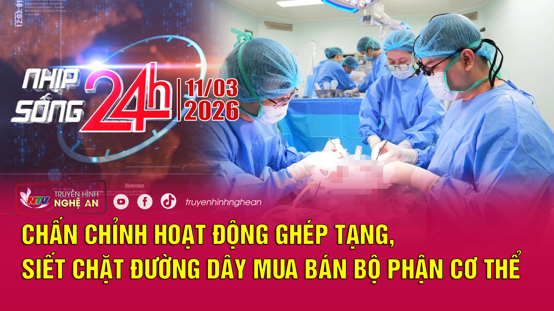 Bản tin Nhịp sống 24h - 11/03/2026