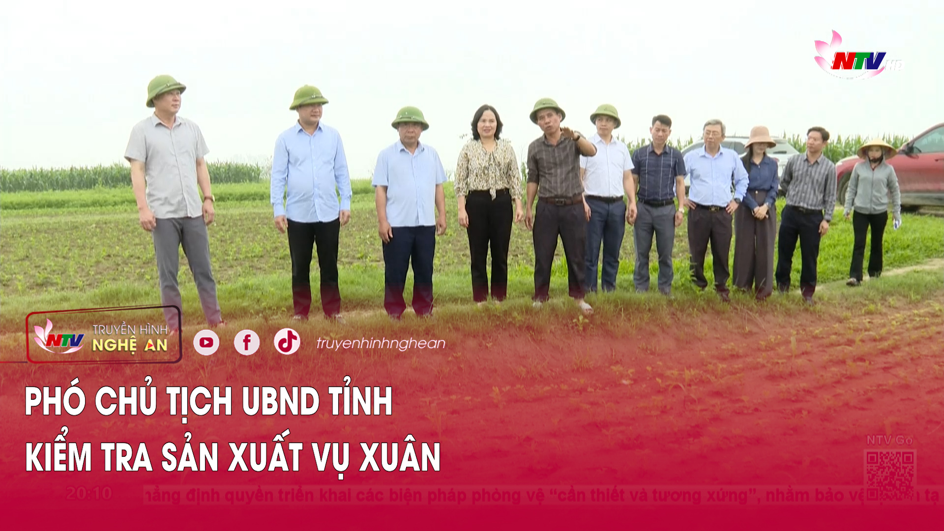 Phó Chủ tịch UBND tỉnh kiểm tra sản xuất vụ Xuân