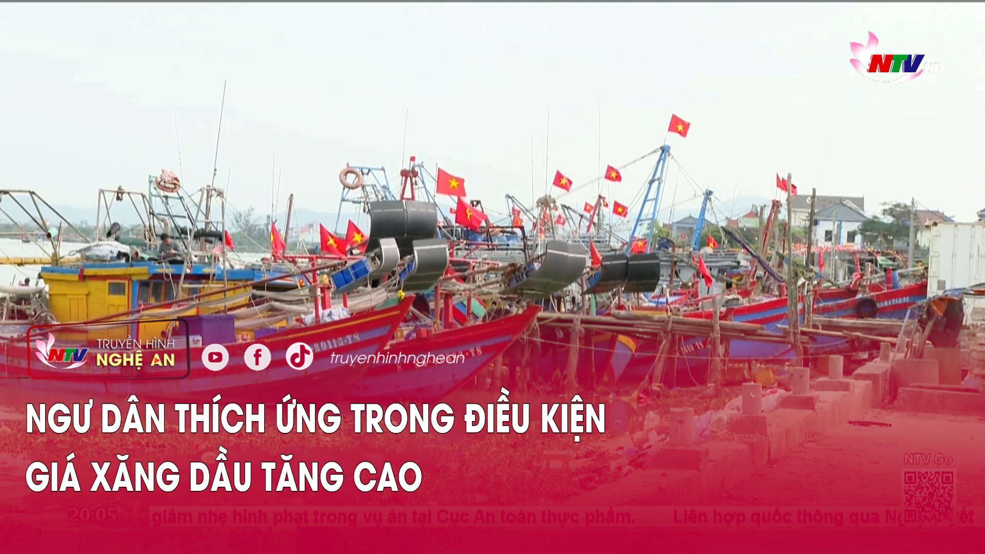 Ngư dân thích ứng trong điều kiện giá xăng dầu tăng cao