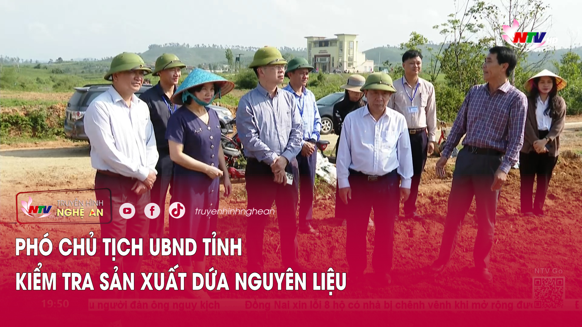 Phó Chủ tịch UBND tỉnh kiểm tra sản xuất dứa nguyên liệu