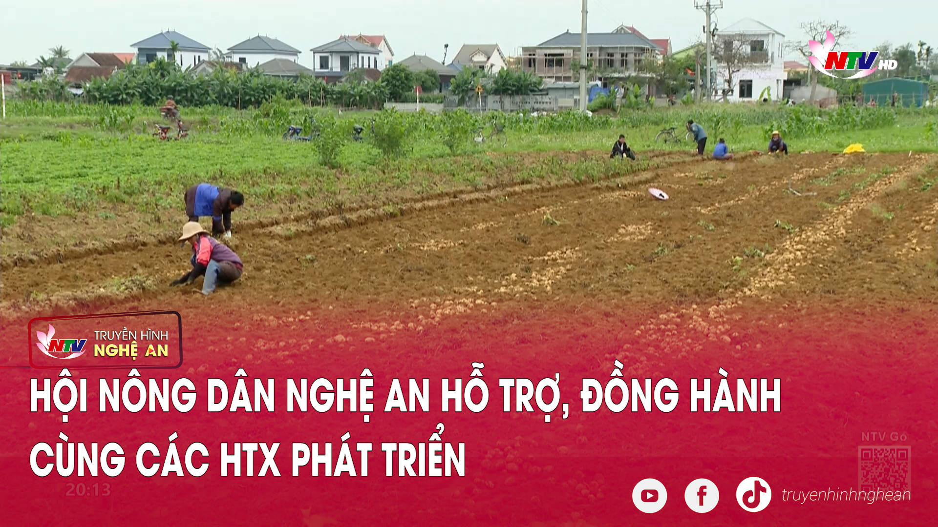 Hội nông dân Nghệ An hỗ trợ, đồng hành cùng các HTX phát triển