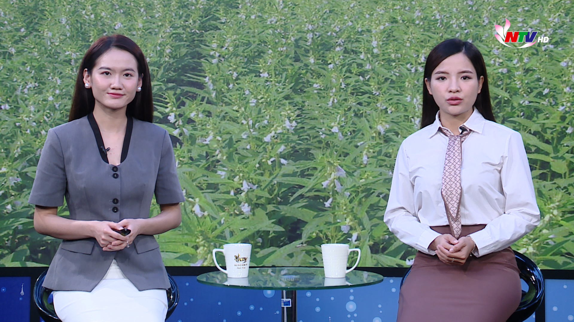 Nghệ An ngày mới  - 10/05/2026