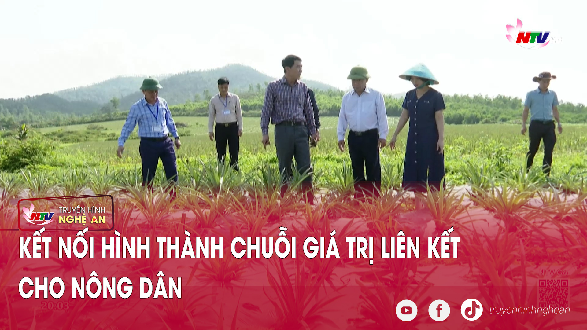 Kết nối hình thành chuỗi giá trị liên kết cho nông dân