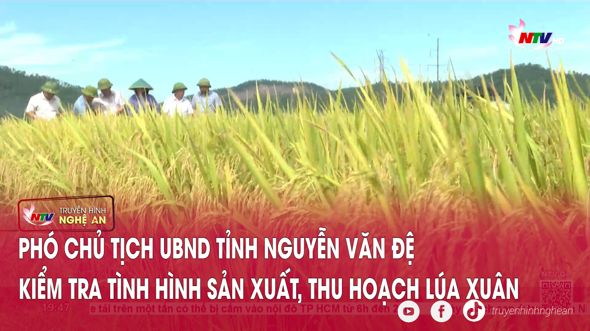 Phó Chủ tịch UBND tỉnh Nguyễn Văn Đệ kiểm tra tình hình sản xuất, thu hoạch lúa Xuân