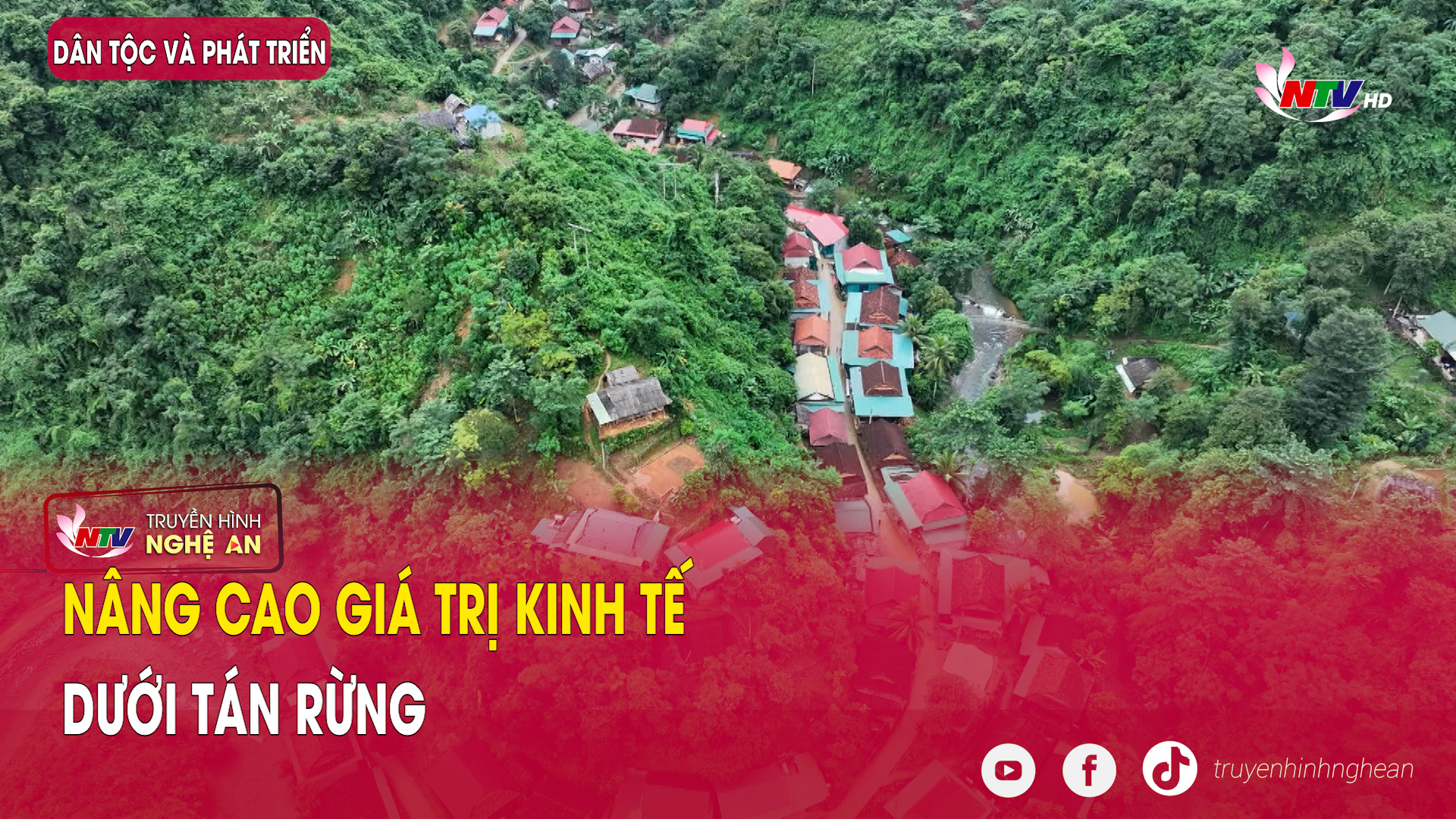 Dân tộc & Phát triển: Nâng cao giá trị kinh tế dưới tán rừng